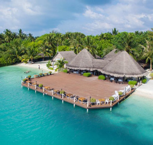 мальдивы из минска